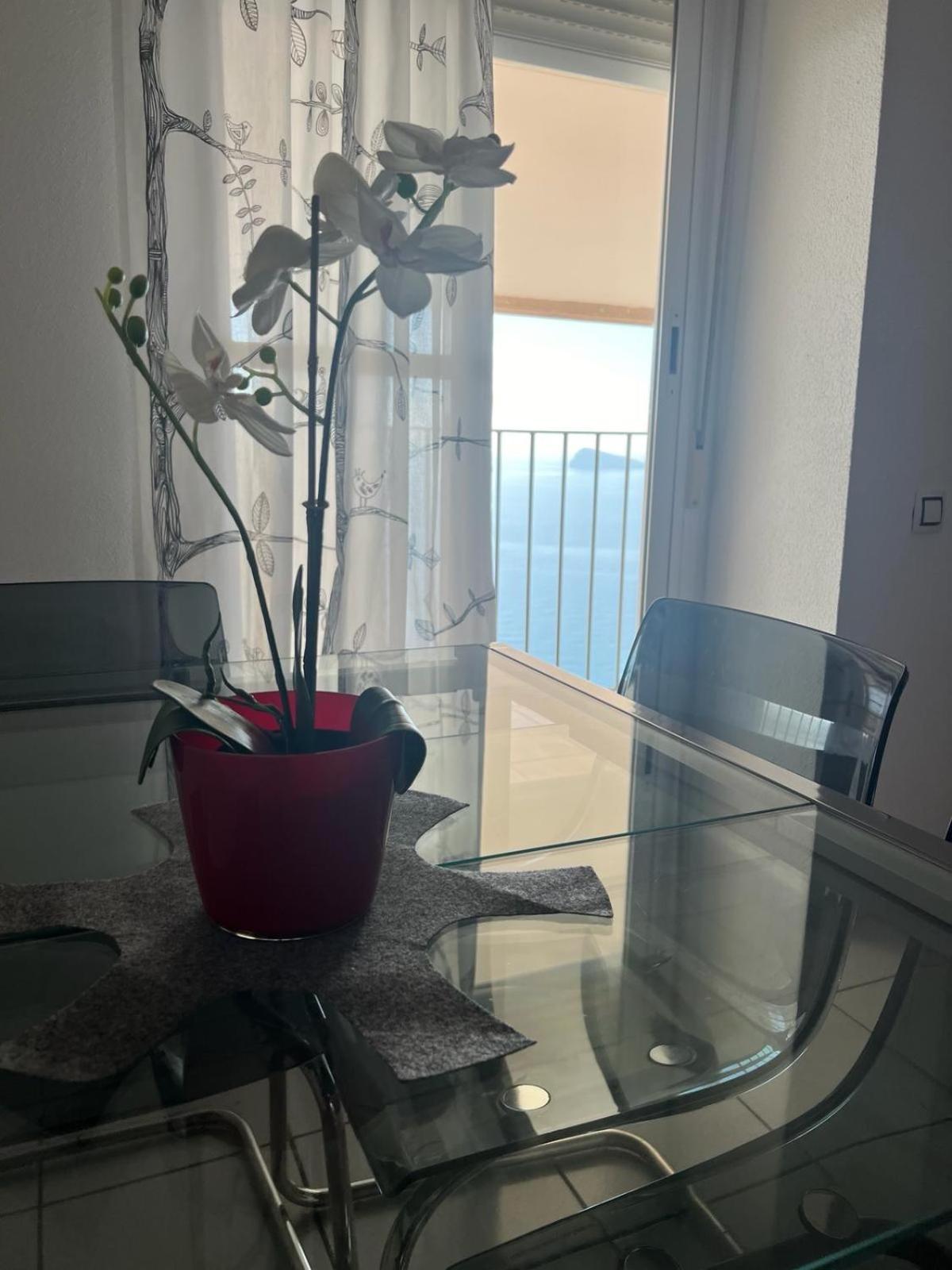 Apartamento Para 4 Personas Frente Al Mar Бенидорм Екстериор снимка